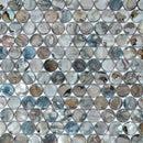 0.8" x 0.8" Mother of Pearl Seashell Penny Round Mosaic Sheet - 10.78 Square Feet Per Carton - Arctic Breeze