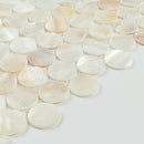 Mother of Pearl 1" Seashell Penny Round Mosaic Wall Tile - 10.78 Sqft per Carton