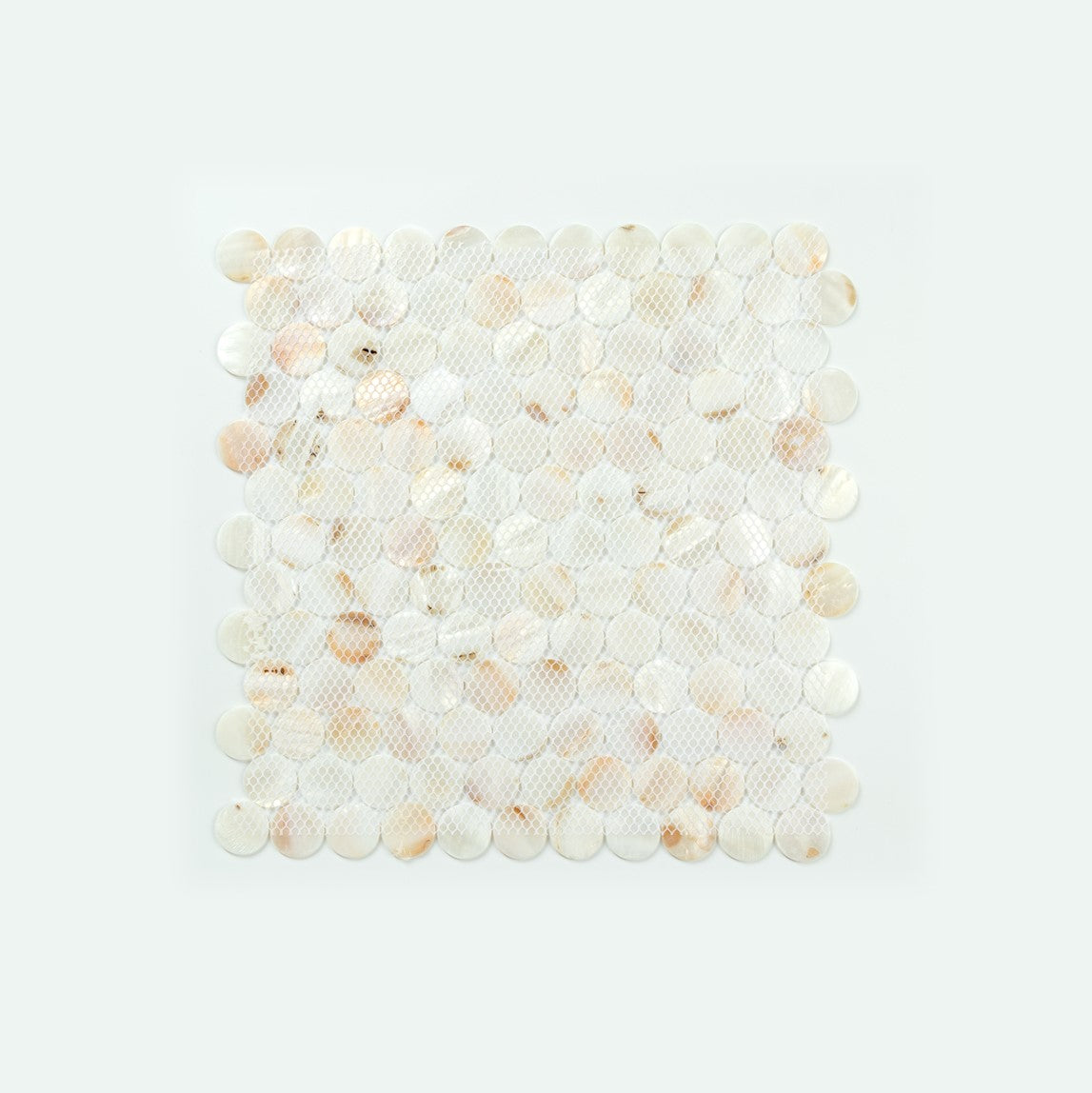 Mother of Pearl 1" Seashell Penny Round Mosaic Wall Tile - 10.78 Sqft per Carton